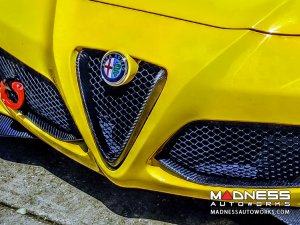 Alfa Romeo 4C Carbon Fiber Front Bumper Center Grille Frame 